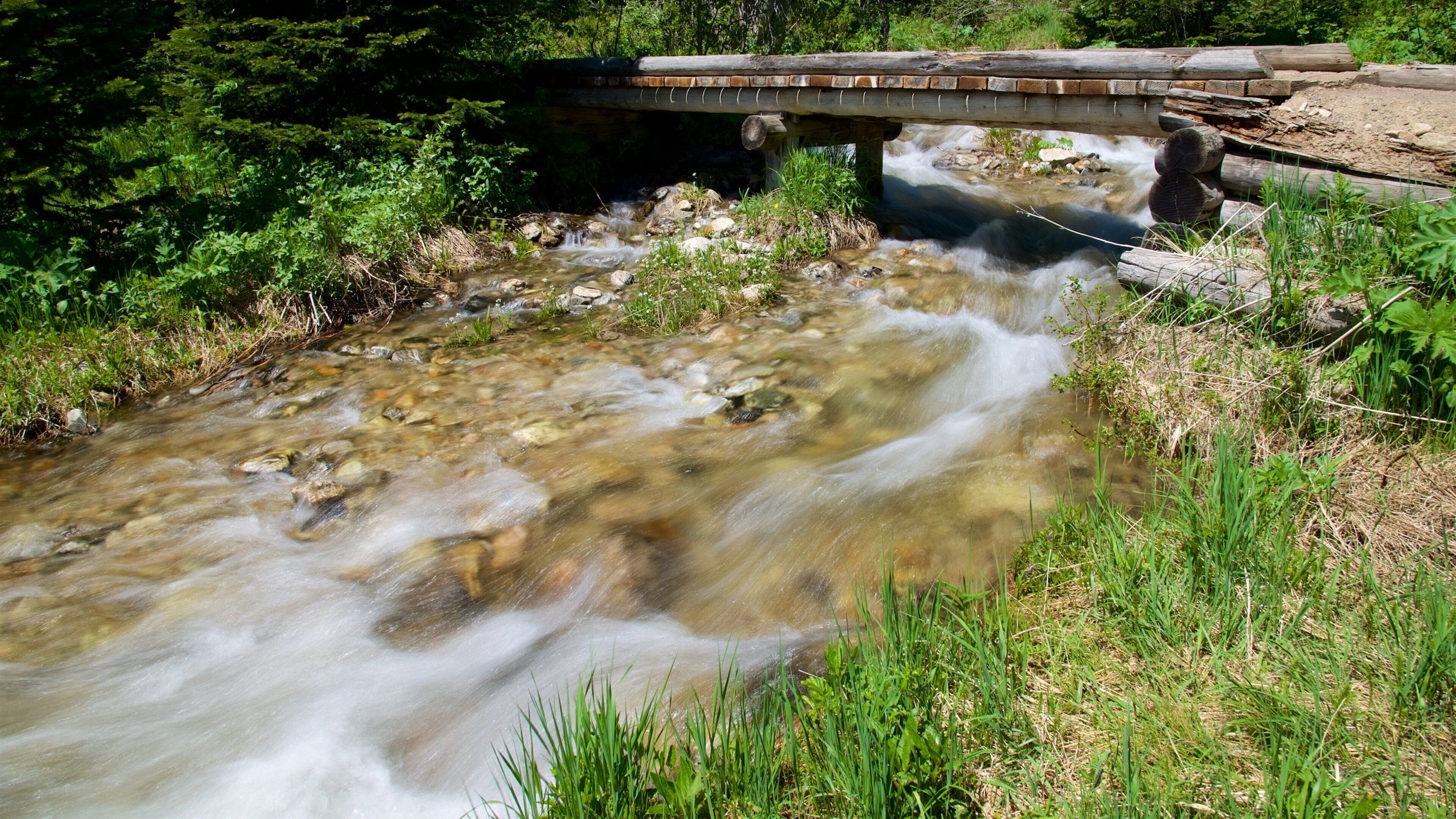Jenny-järvi joka esittää joki tai puro ja koski