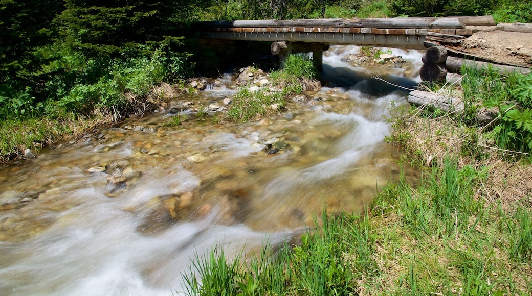 Jenny-jÀrvi joka esittÀÀ joki tai puro ja koski