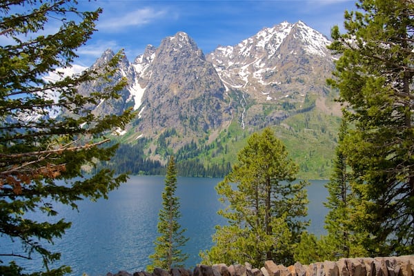 Jenny Lake featuring a lake or waterhole and mountains