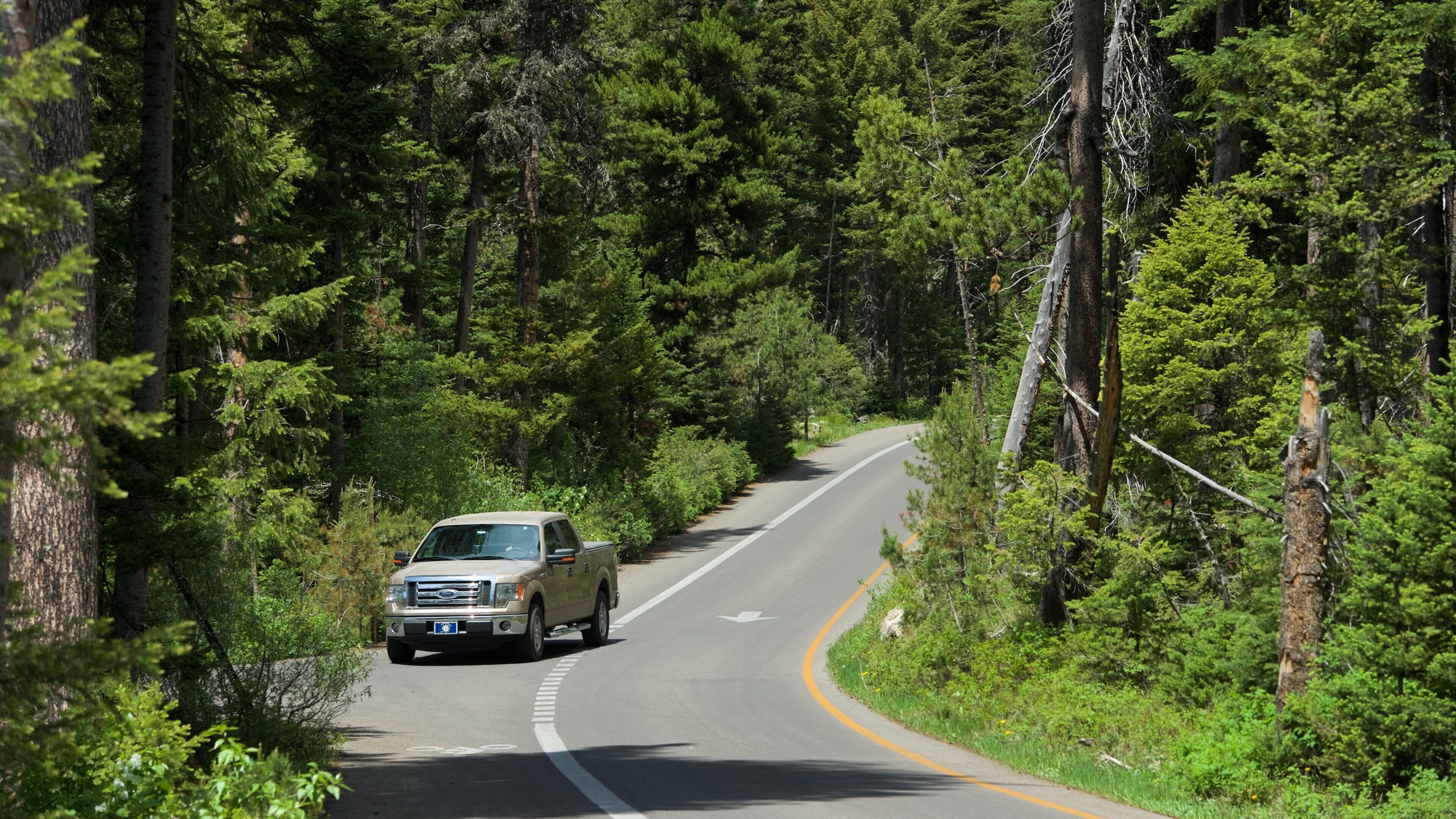 Lago Jenny mostrando paseos en 4x4, situaciones tranquilas y paisajes forestales