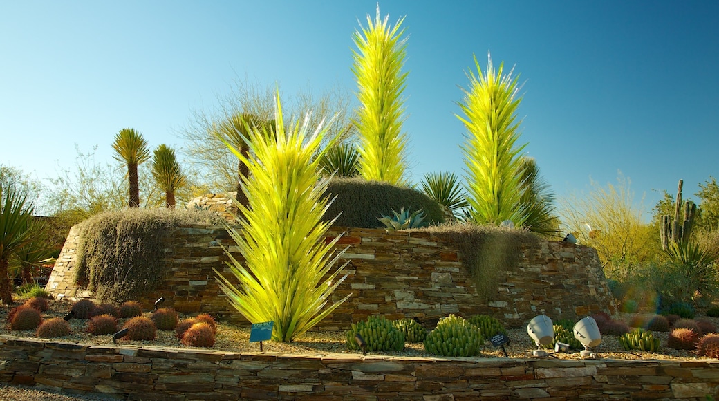 Desert Botanical Garden featuring a park