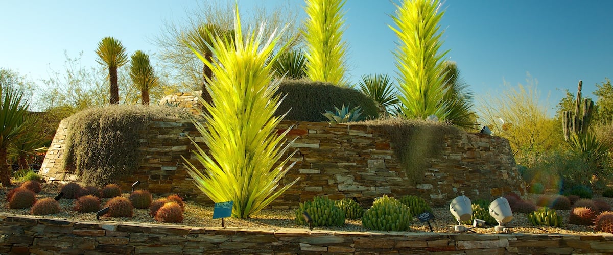Desert Botanical Garden featuring a park