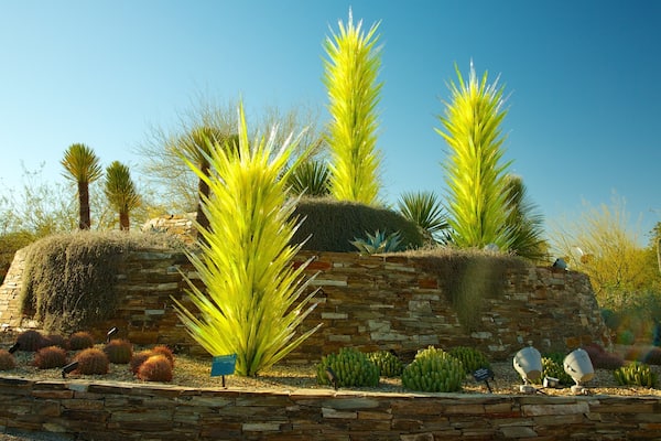 Desert Botanical Garden que incluye un jardín
