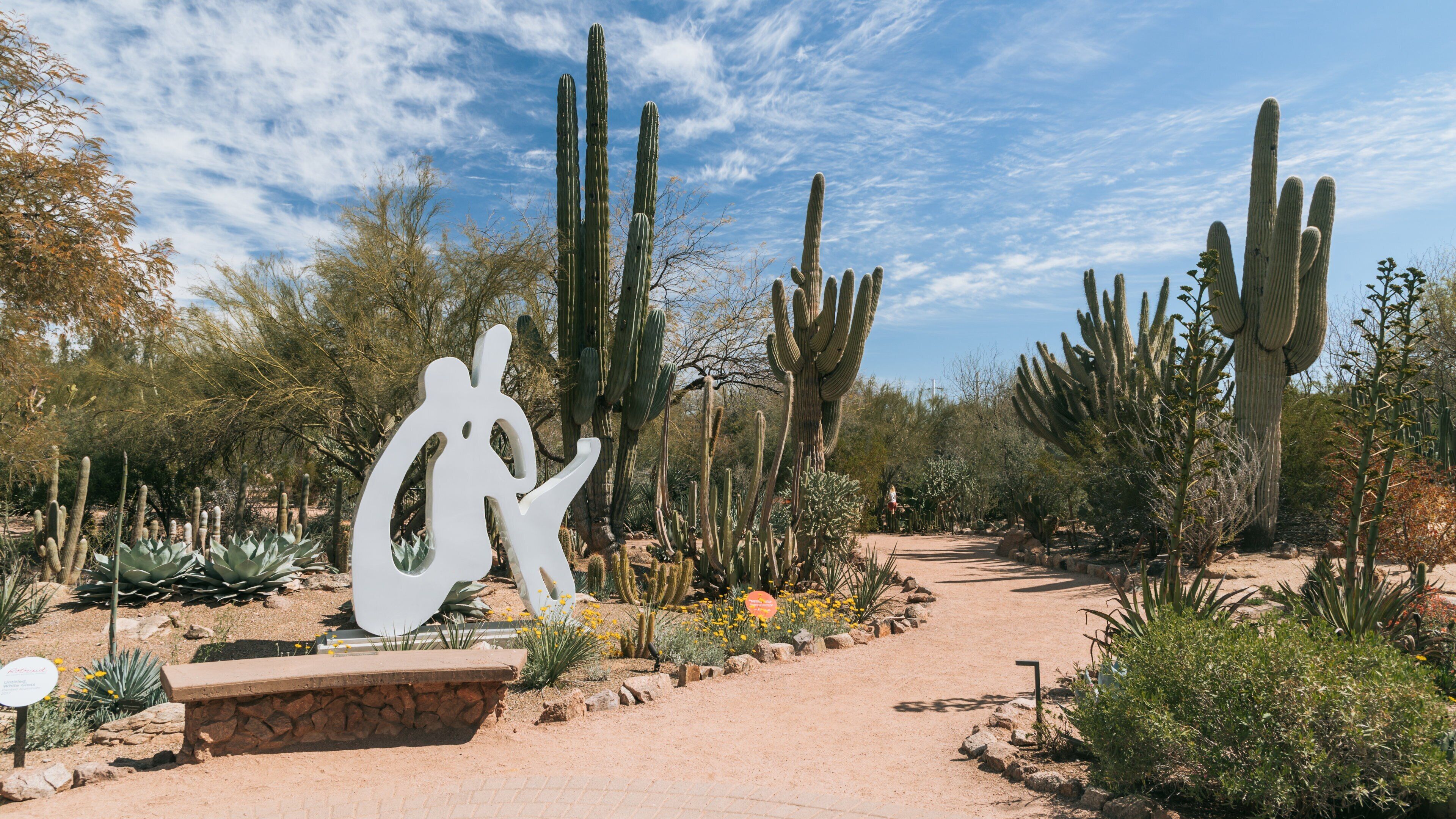 Desert Botanical Garden in Camelback East - Tours and Activities
