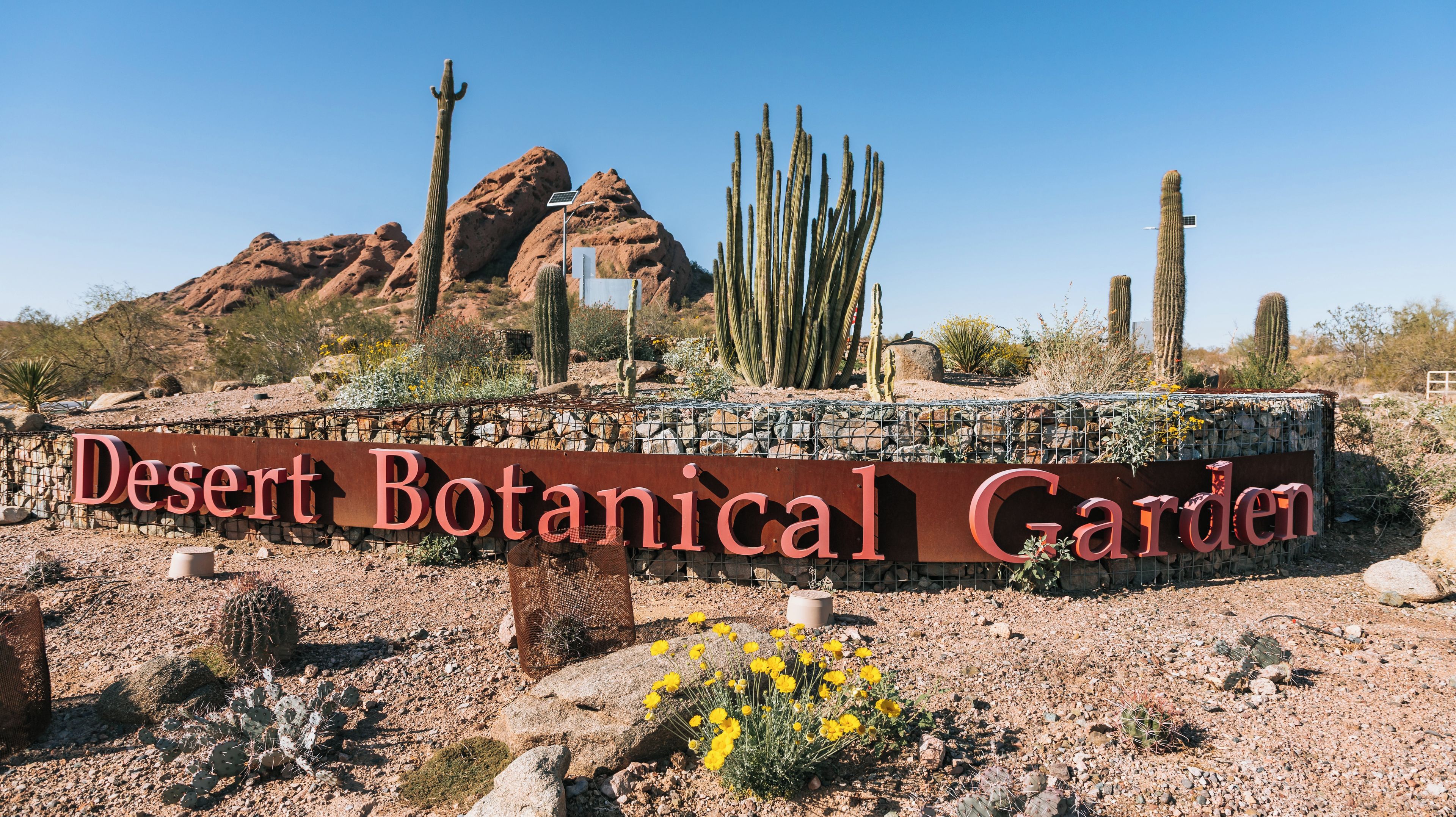 Desert botaniske hage