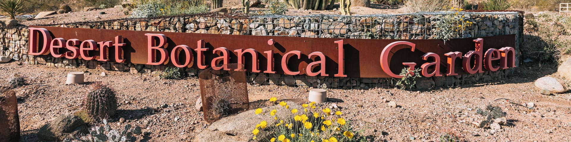 A desert botanical garden with a prominent sign, cacti, and yellow flowers.