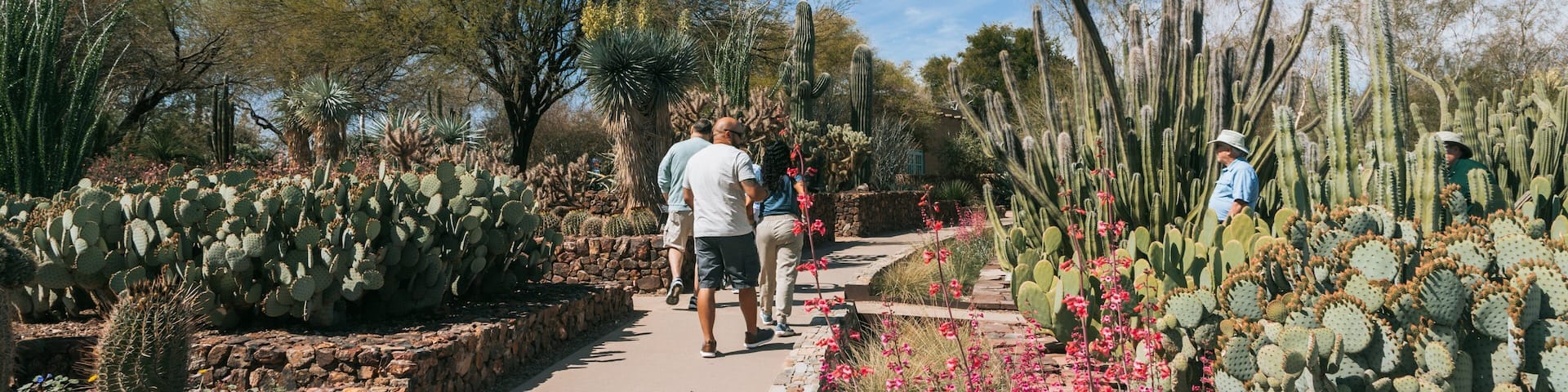 Desert Botanical Garden which includes a park and desert views as well as a couple