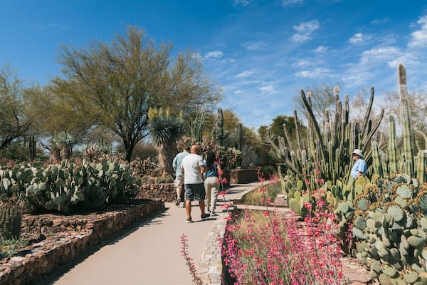 Desert Botanical Garden which includes a park and desert views as well as a couple
