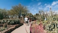 Desert Botanical Garden which includes a park and desert views as well as a couple