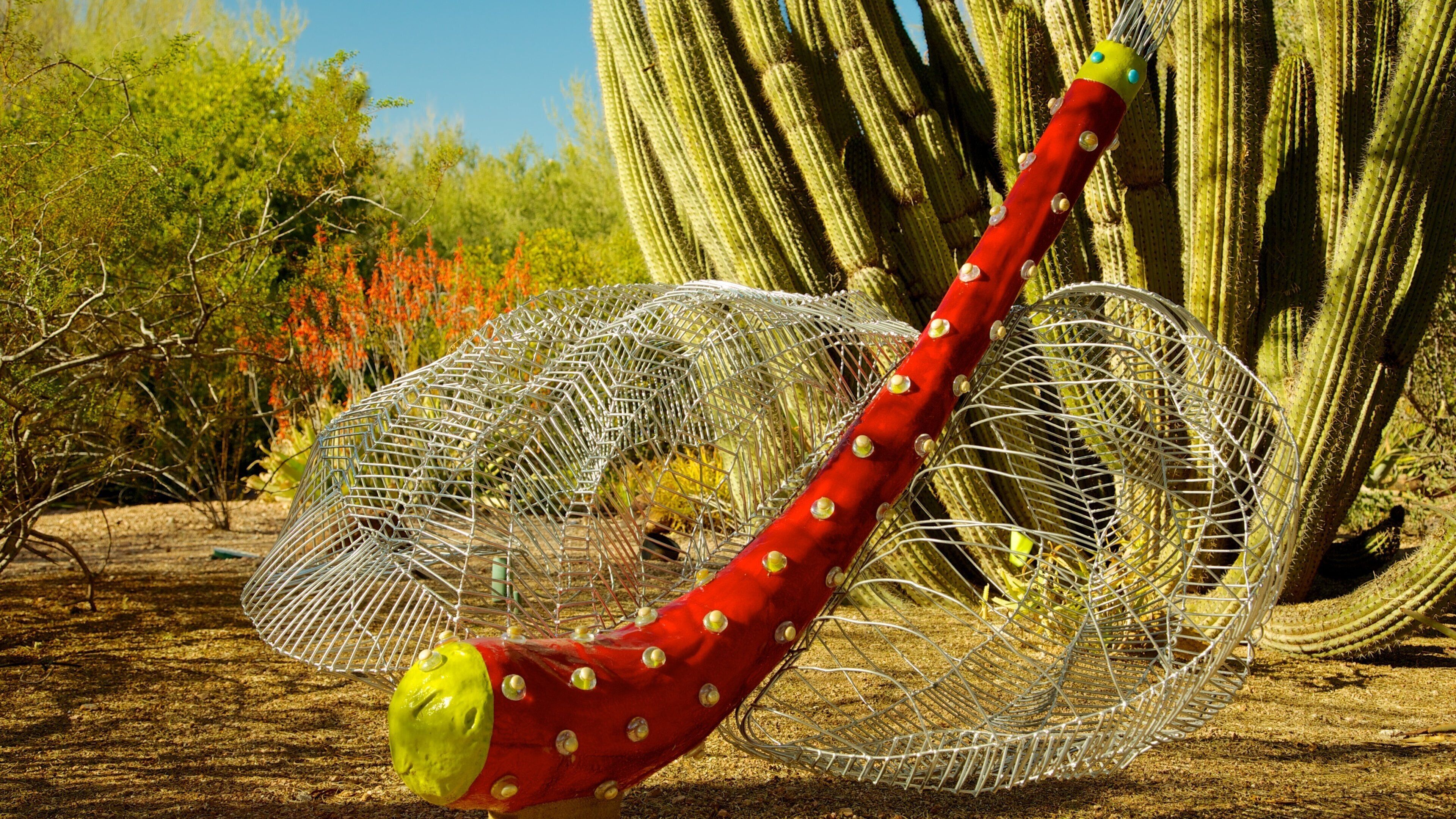 Een grote cactus met een rood-geel beeldhouwwerk ervoor.