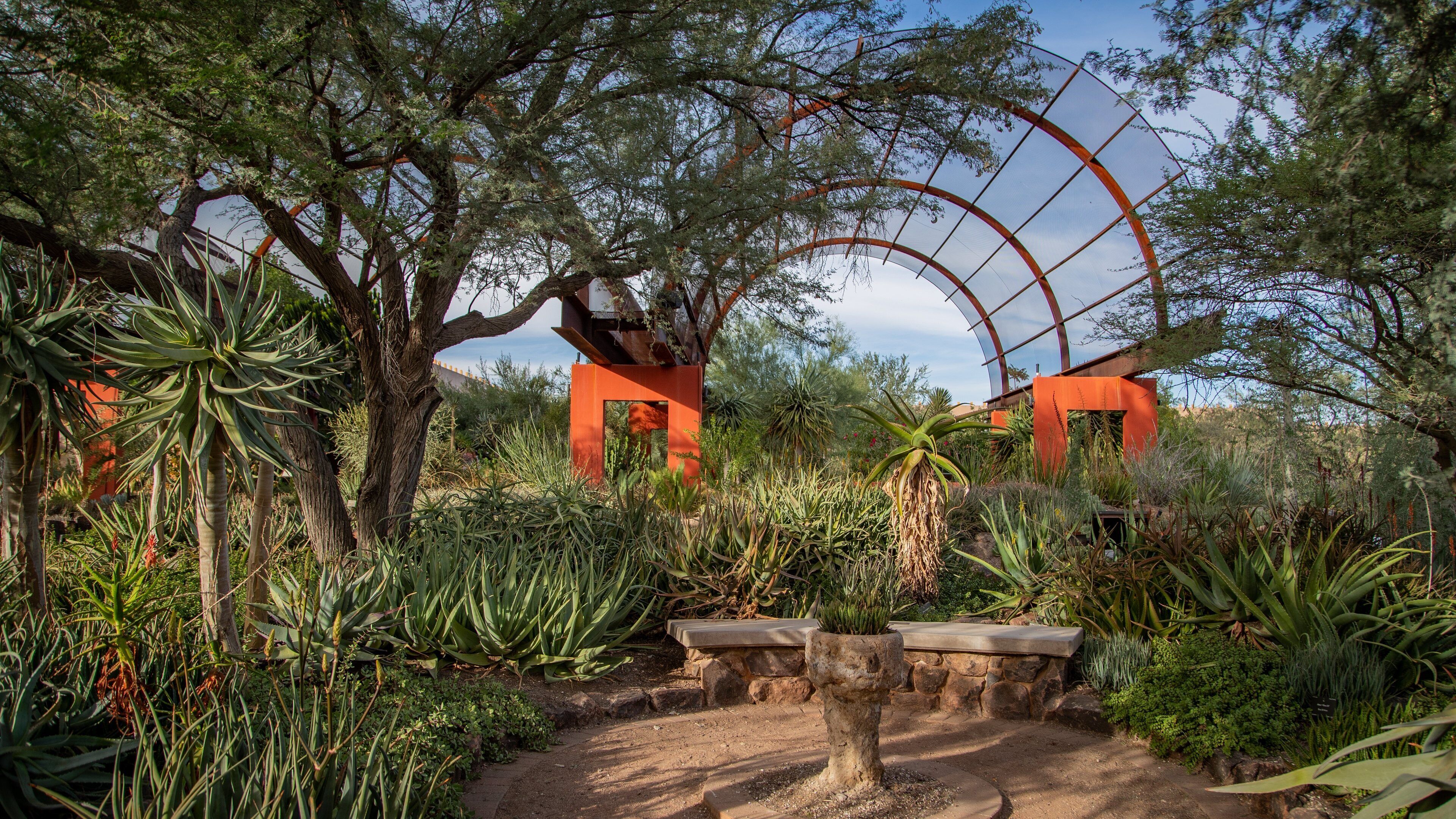 Desert Botanical Garden showing a park