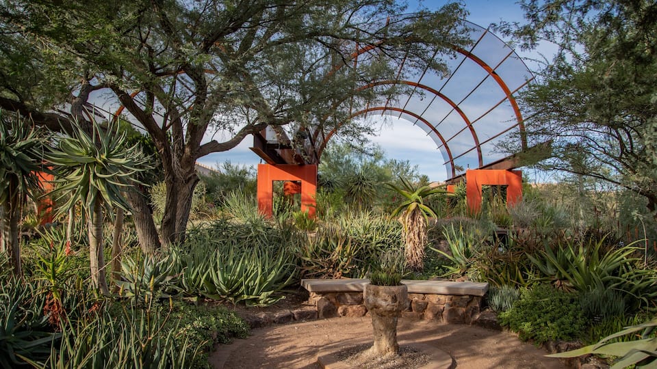 Desert Botanical Garden showing a park