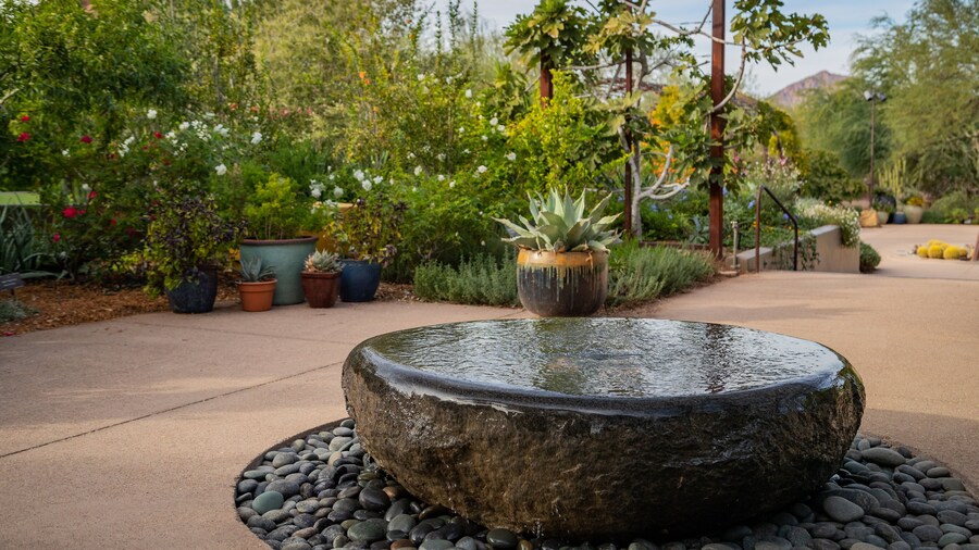 Desert Botanical Garden which includes a garden