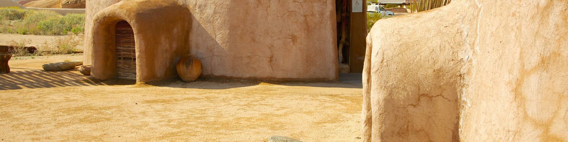 S'edav Va'aki Museum showcases traditional Native American architecture in Phoenix, Arizona during bright daylight
