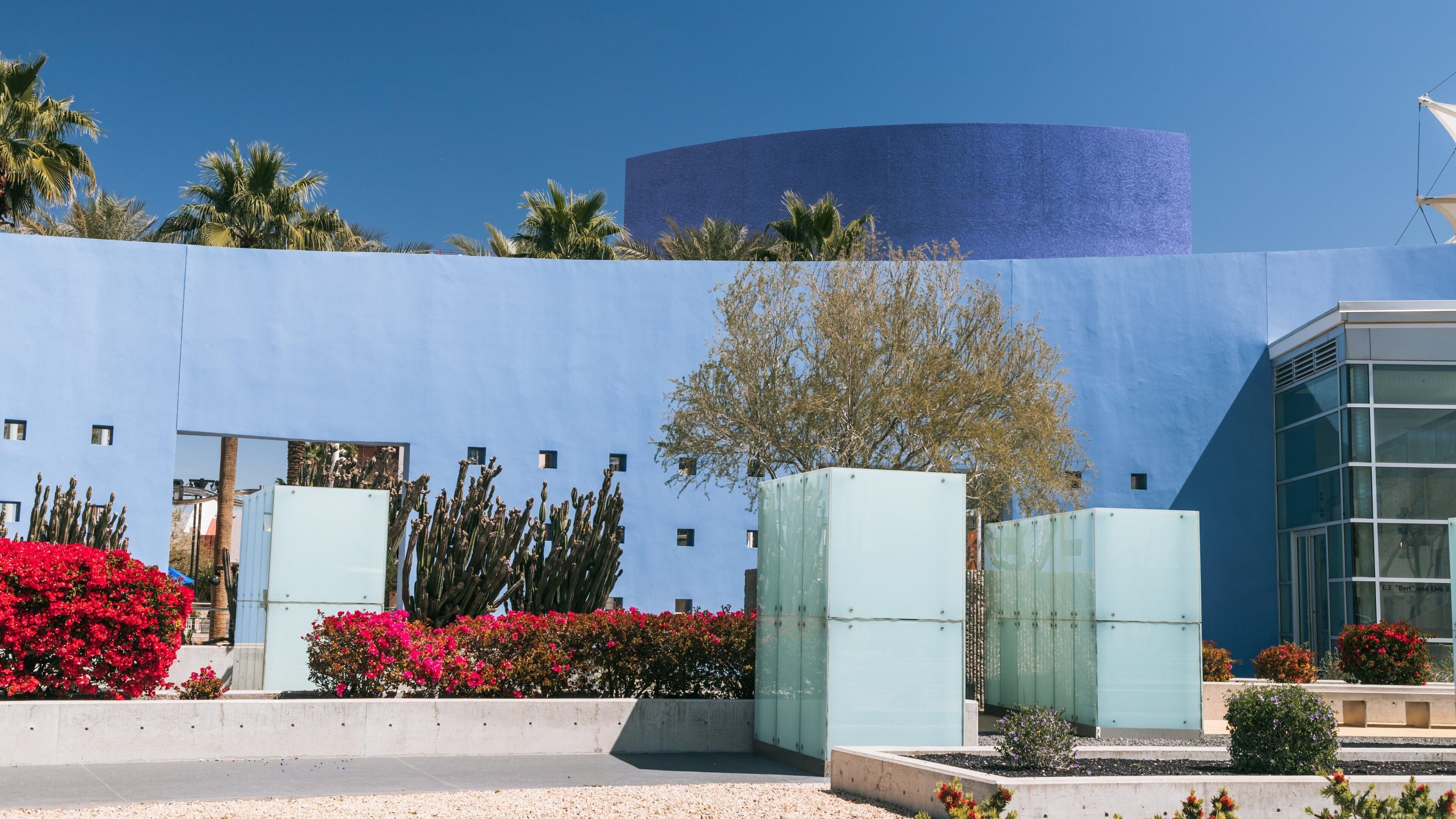 Mesa Arts Center showing flowers and a garden