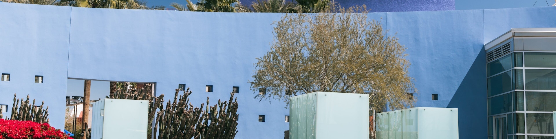Mesa Arts Center showing flowers and a garden
