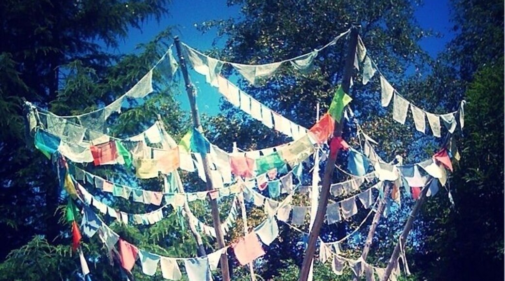 Tibetan prayer flags @ Quarryhill Hill Botanical Garden.