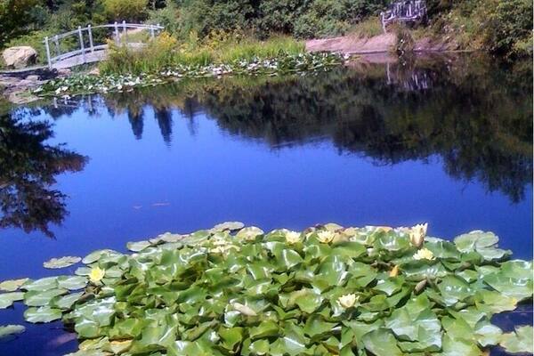 Quarryhill Botanical Garden