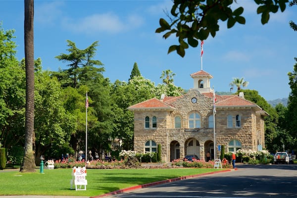 Sonoma Plaza showing a garden