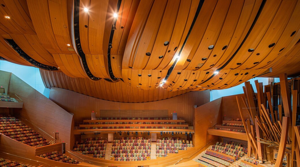 Walt Disney Concert Hall featuring theater scenes and interior views