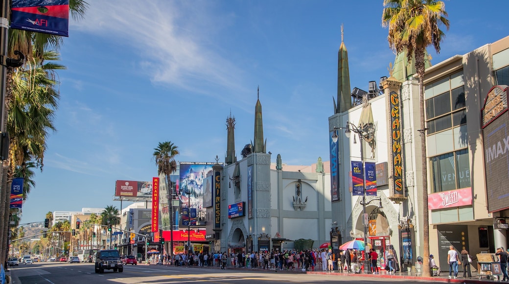 TCL Chinese Theatre showing street scenes
