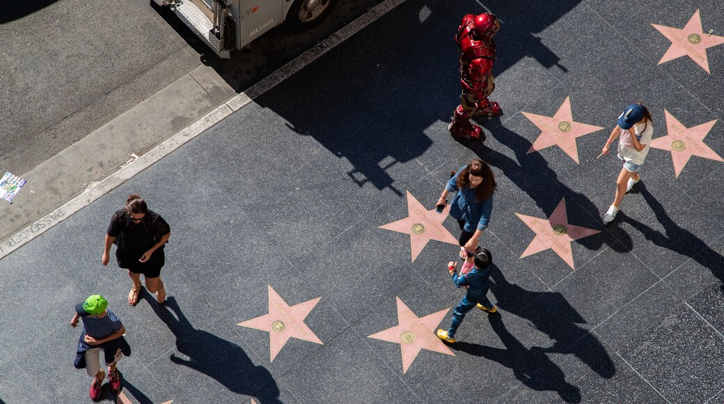 Hollywood Walk of Fame showing street scenes and a monument
