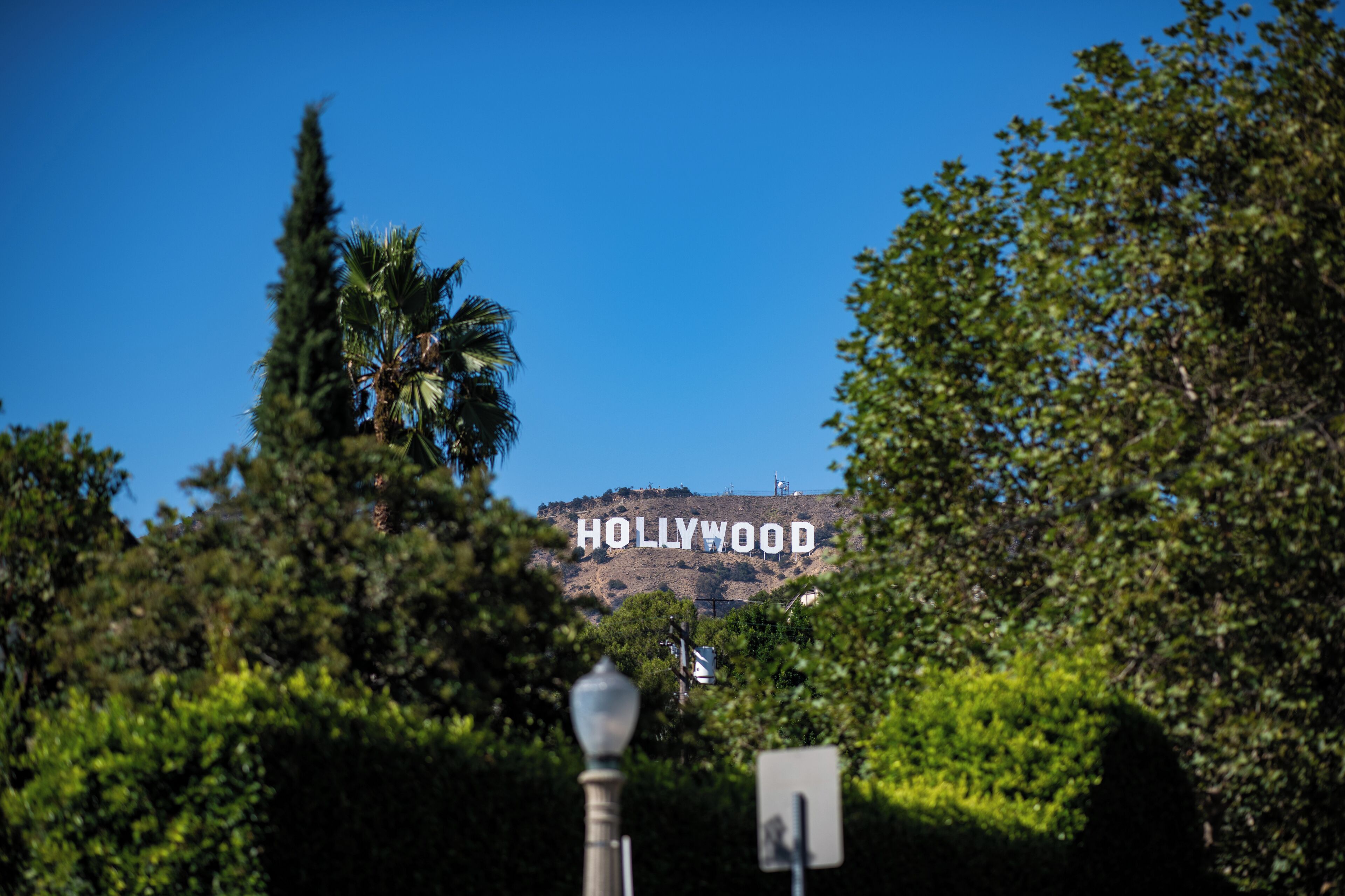 할리우드 사인
