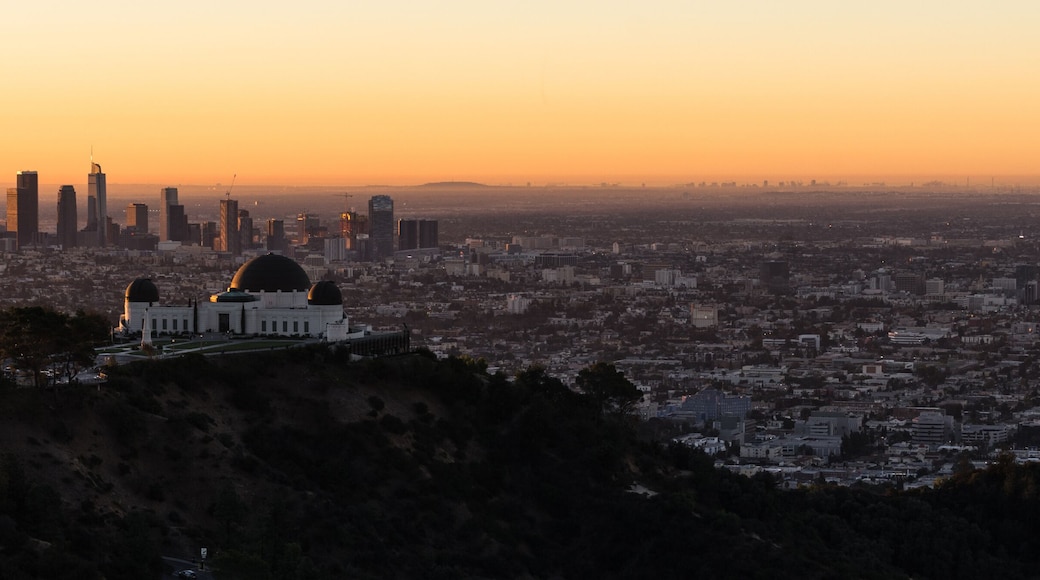 Beautiful Light Los Angeles Downtown City Skyline Urban Metropolis