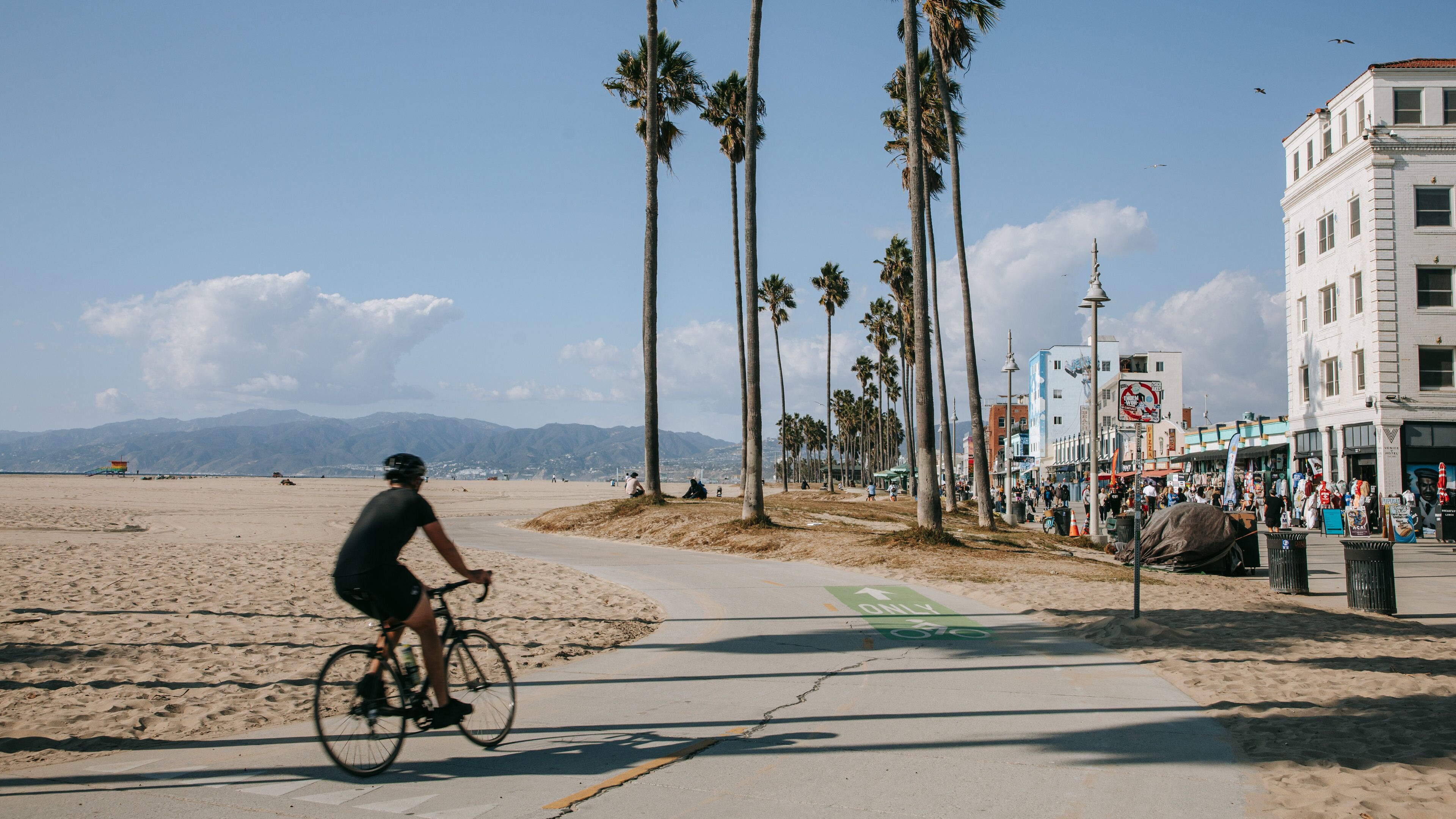 Venice Beach showing general coastal views, a sandy beach and a coastal town