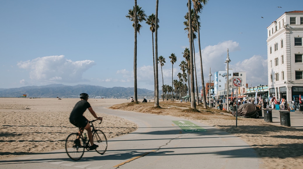Venice Beach showing general coastal views, a sandy beach and a coastal town