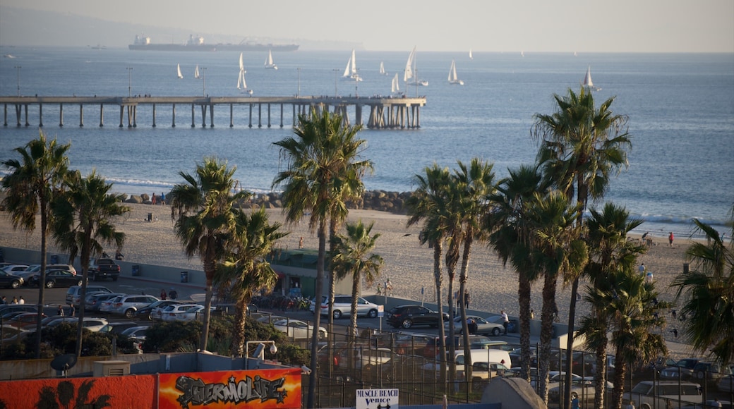 Venice Beach which includes sailing, a sandy beach and a coastal town