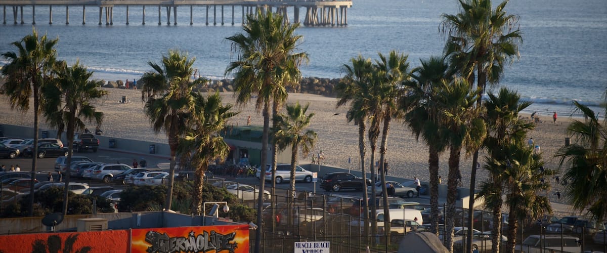 A beach with palm trees, a pier with sailboats, and a parking lot.