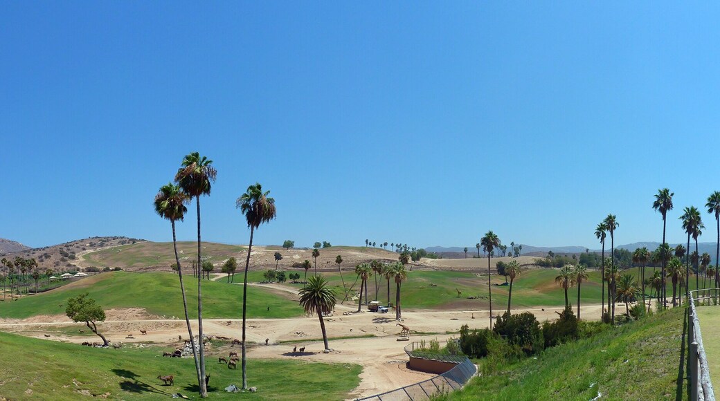 High angle view of the San Diego Zoo Safari Park