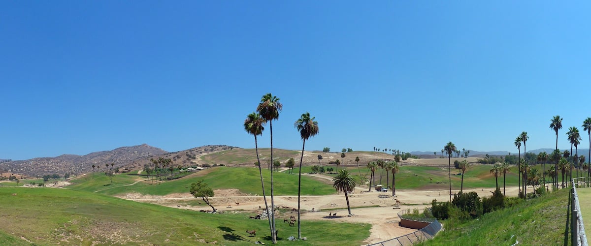 High angle view of the San Diego Zoo Safari Park