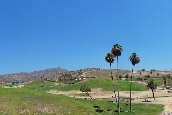 Un parcours de golf avec un ciel d’un bleu éclatant, de l’herbe verte, des palmiers et des montagnes qui se dessinent à l’horizon.