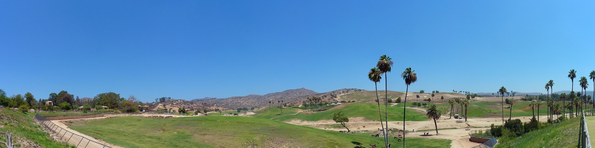High angle view of the San Diego Zoo Safari Park