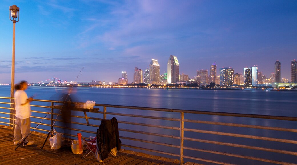 코로나도 비치 을 특징 항구 또는 항만, 스카이라인 과 마천루