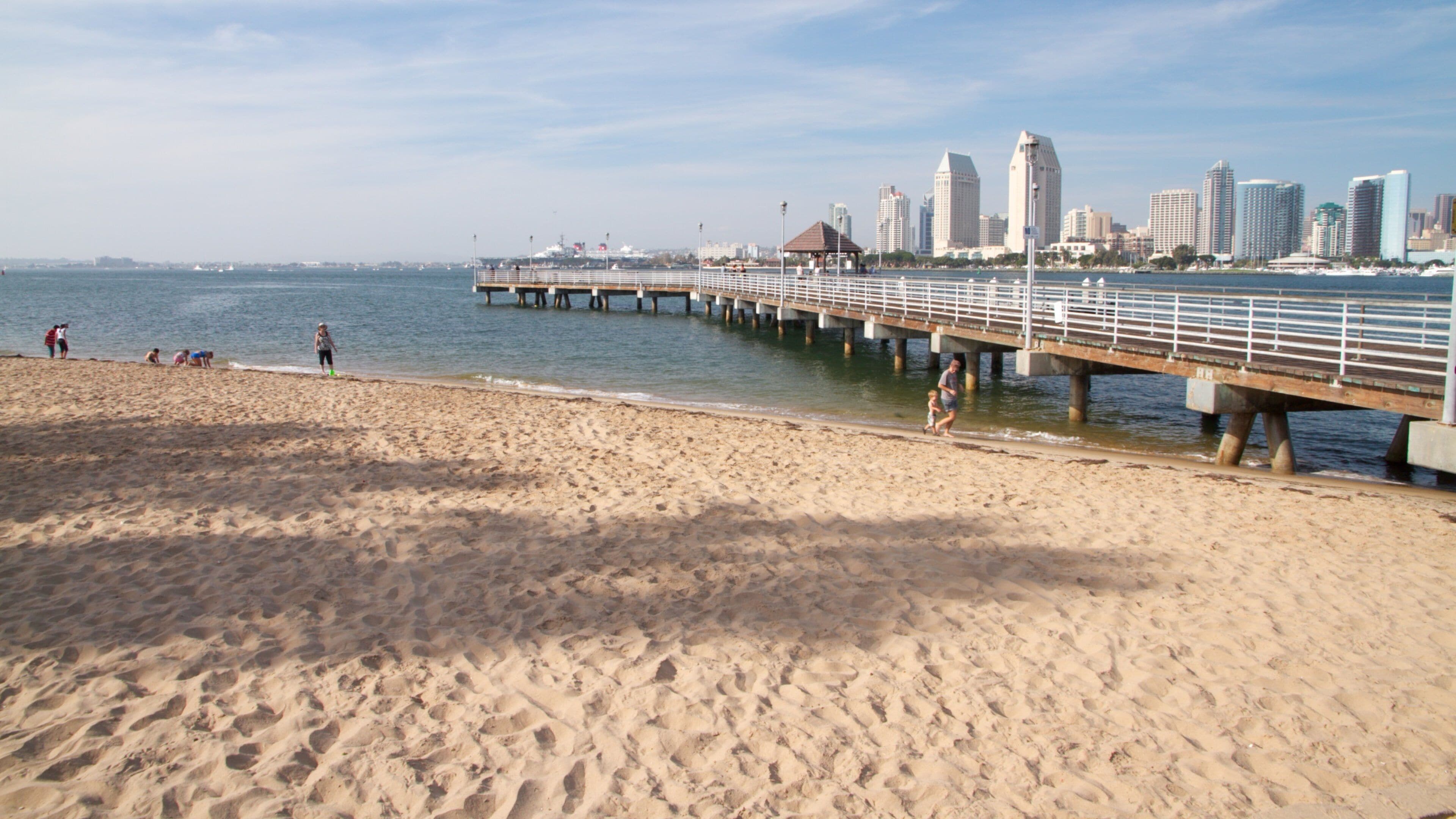 Coronado Beach featuring skyline, landscape views and a beach