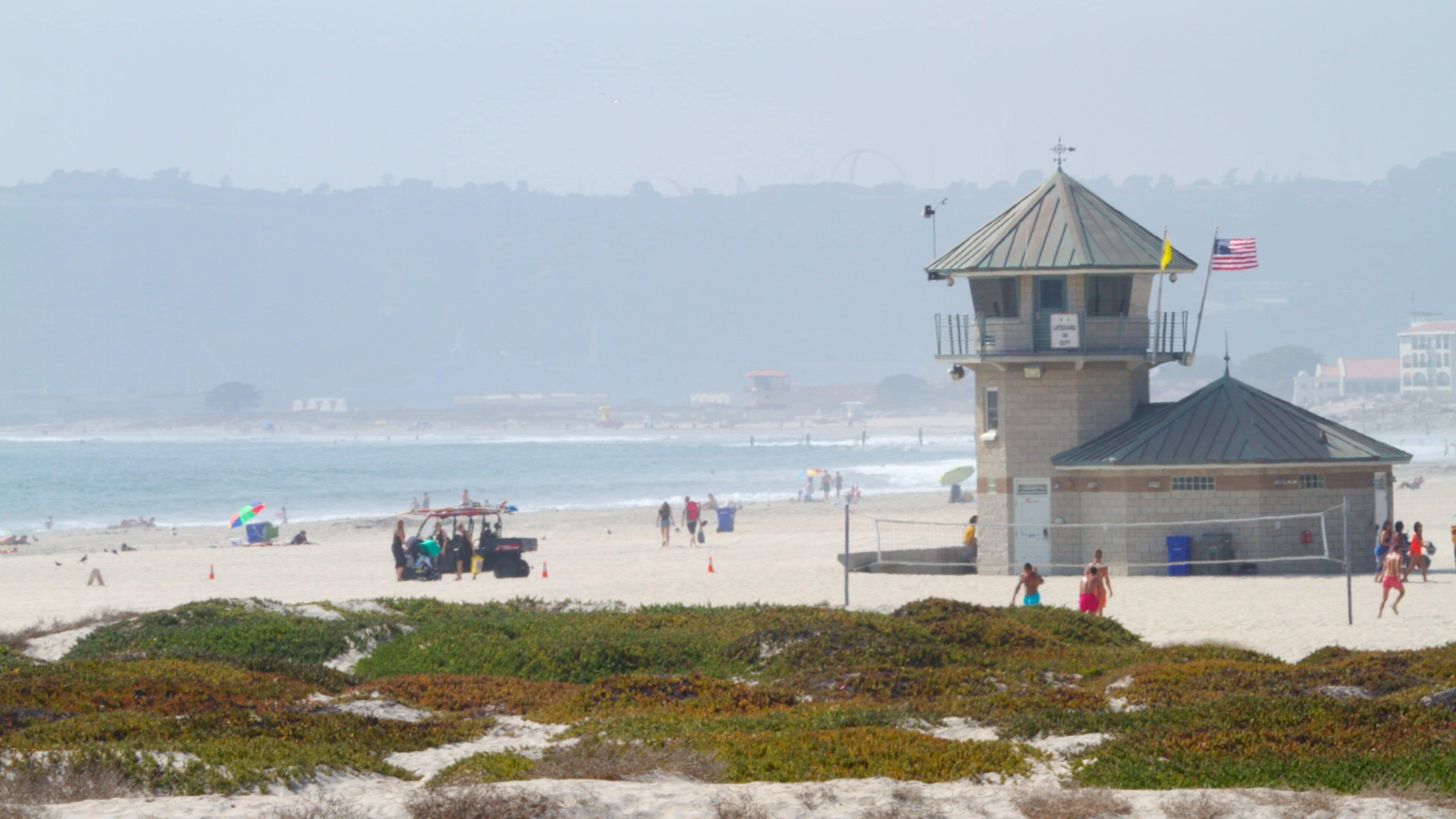 Coronado Beach which includes a beach, a coastal town and tropical scenes