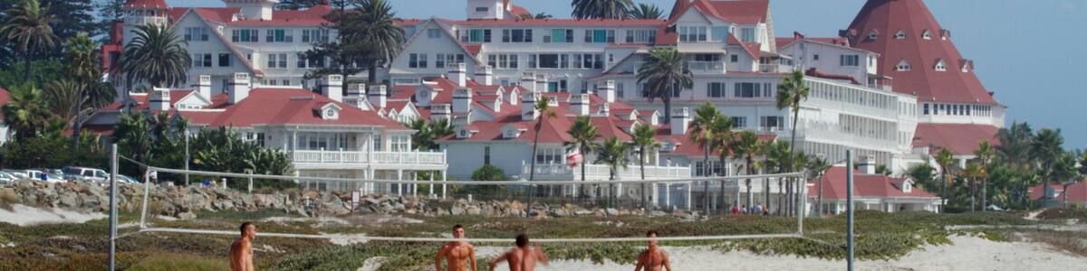 Coronado Beach featuring tropical scenes and a sandy beach as well as a small group of people