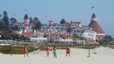 Coronado Beach featuring tropical scenes and a sandy beach as well as a small group of people