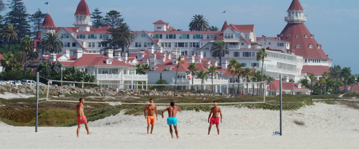 Coronado Beach featuring tropical scenes and a sandy beach as well as a small group of people