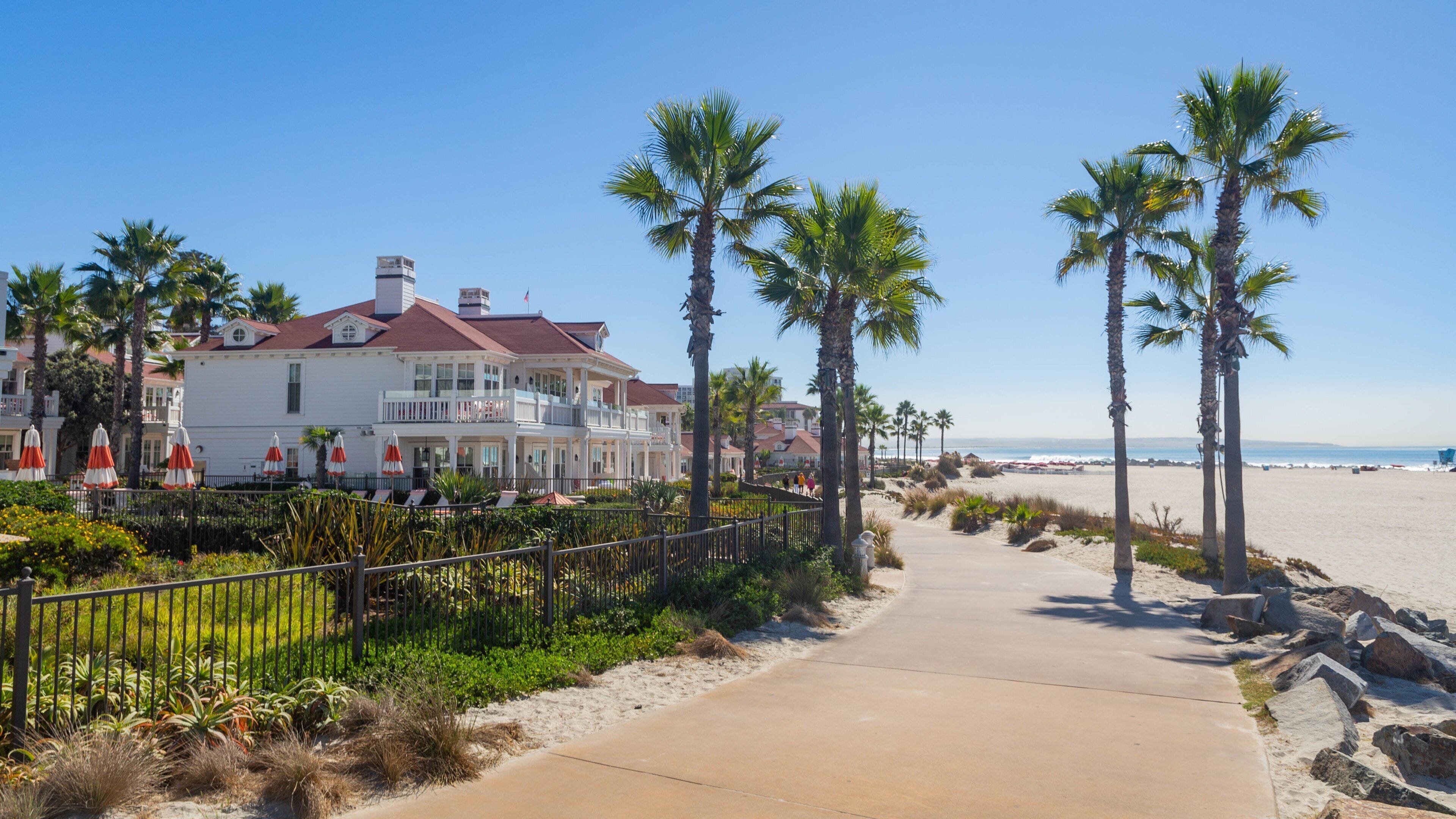 A coastal walkway lined with palm trees and a beachfront property.