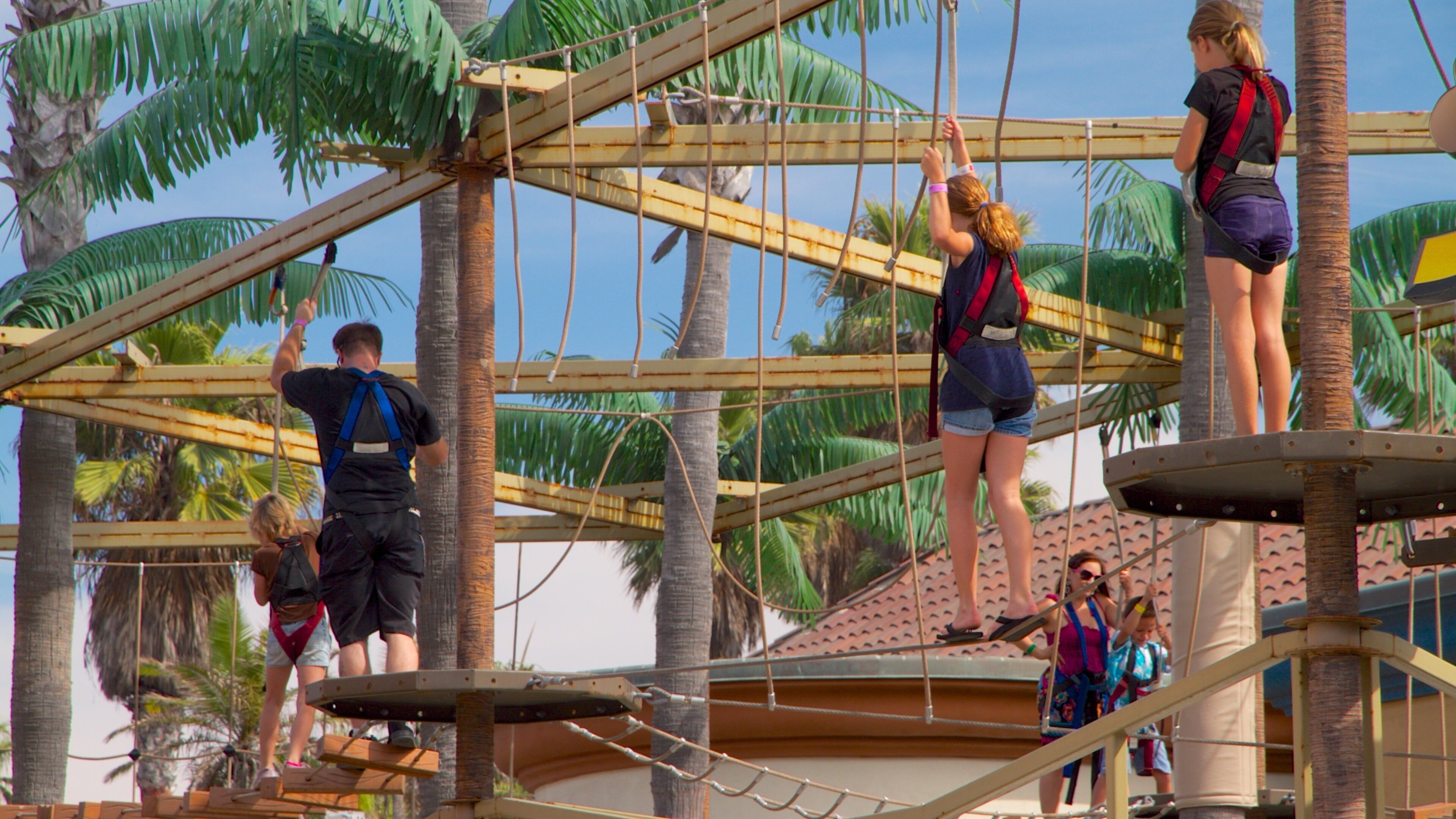 Belmont Park som inkluderer tropisk landskap og park i tillegg til en liten gruppe med mennesker