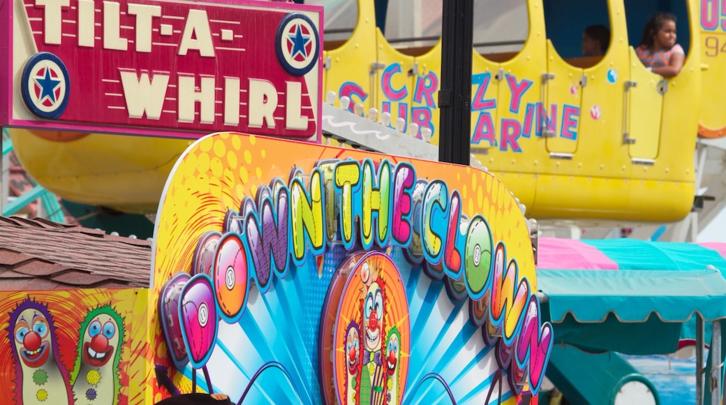 Belmont Park showing rides and signage