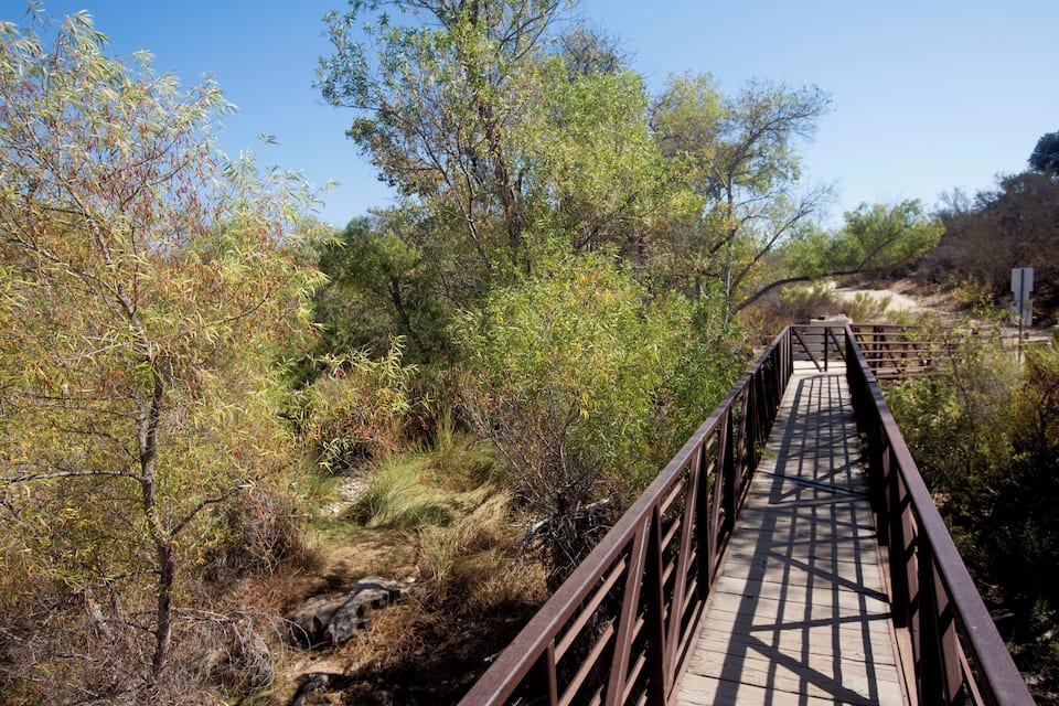 A wooden bridge in a natural setting with trees and shrubs.