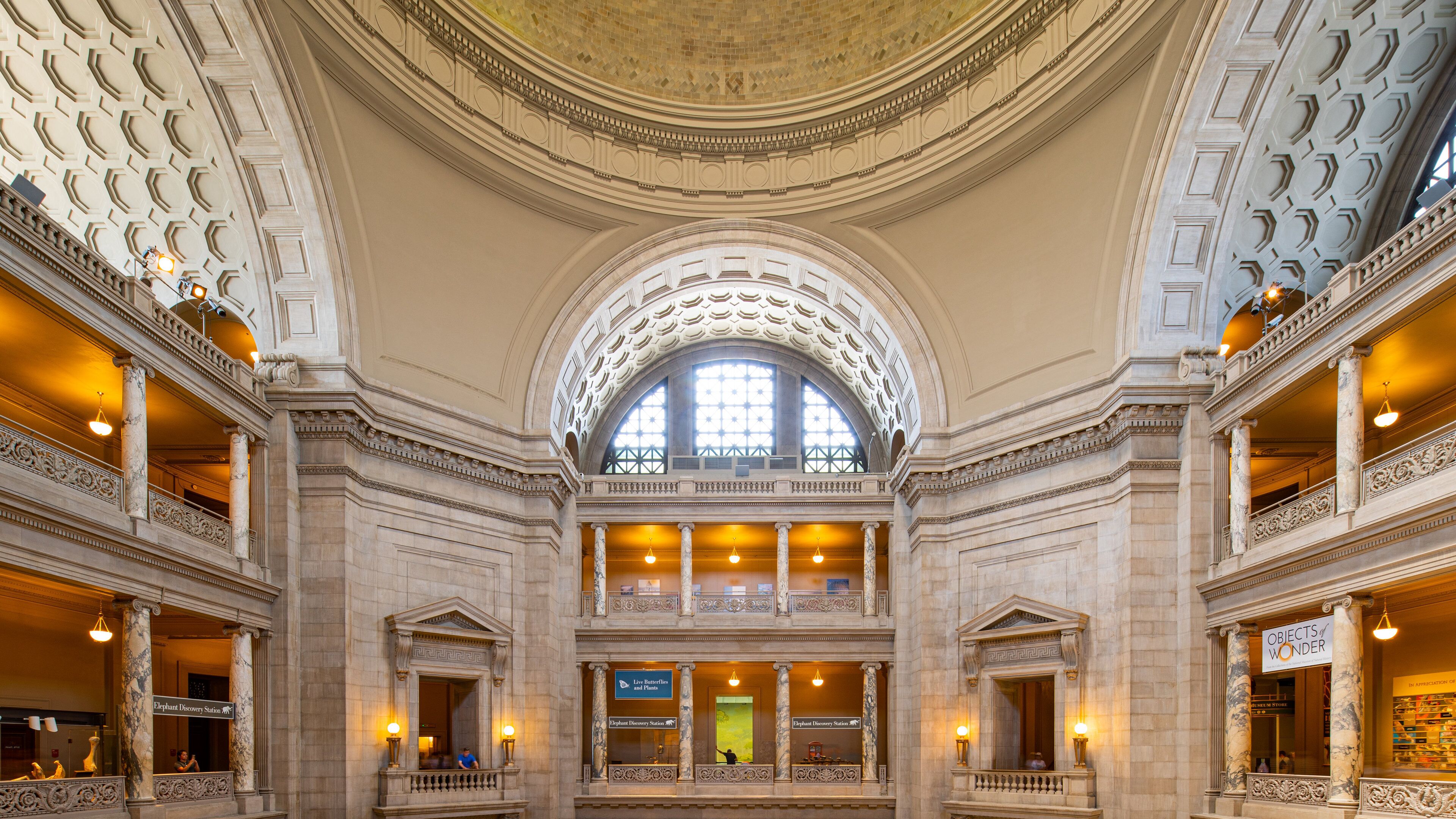 National Museum of Natural History which includes interior views and heritage elements