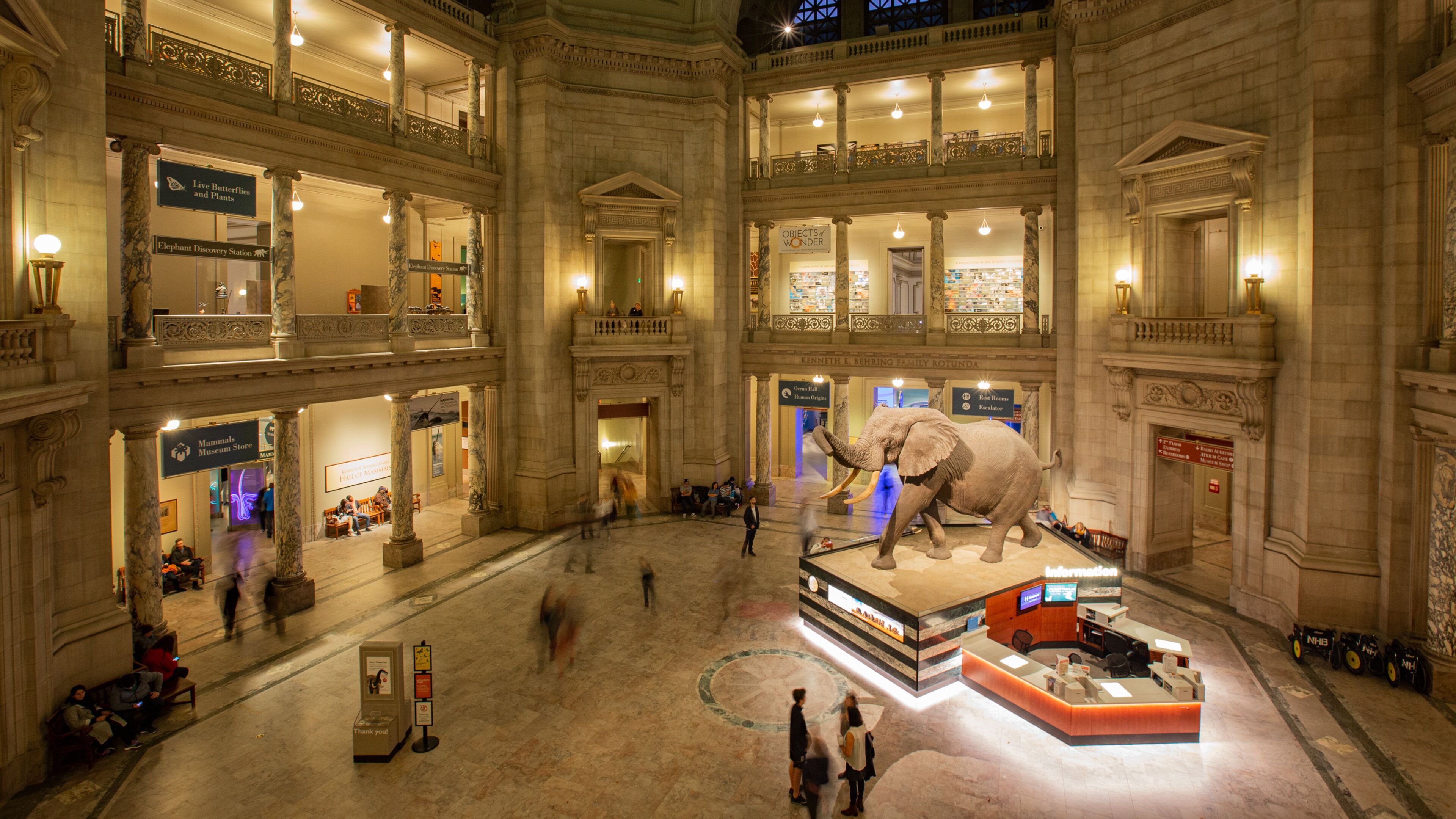 National Museum of Natural History which includes interior views