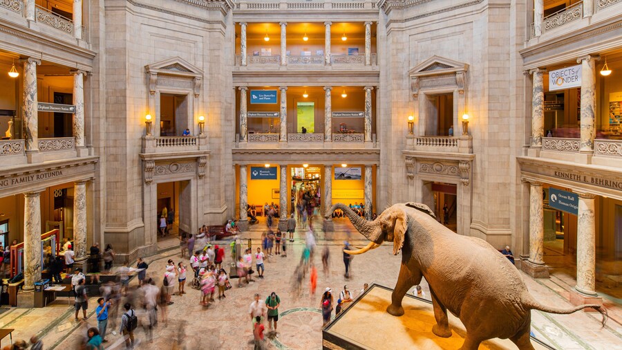 District of Columbia