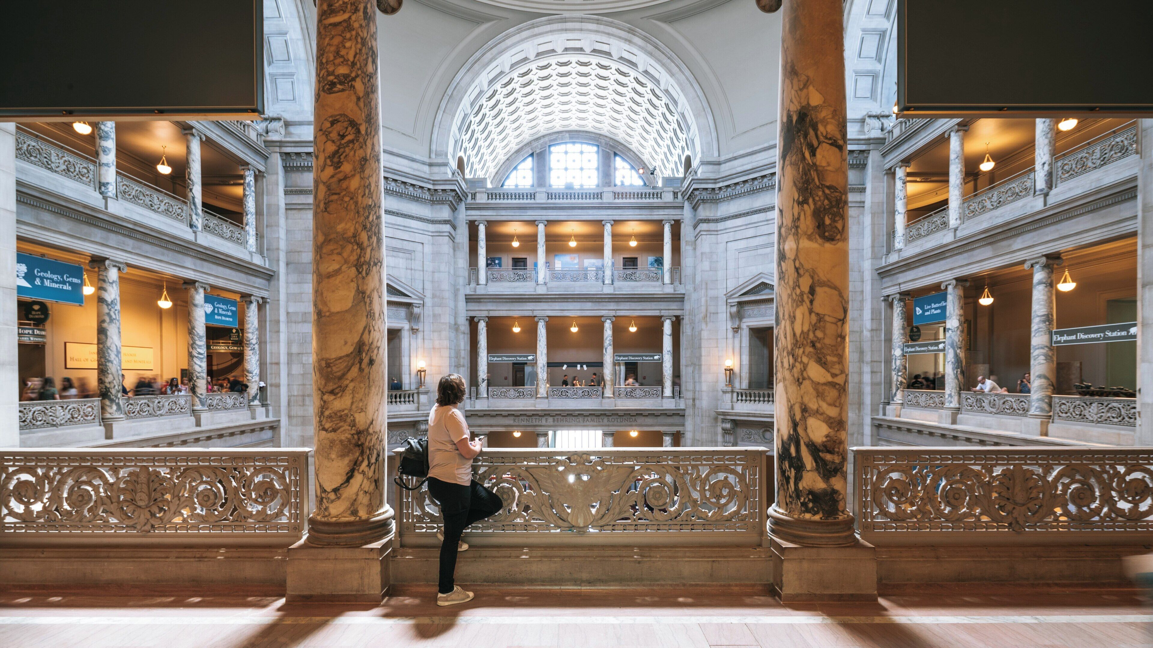 View of the grand interior of National Museum of Natural History showcasing intricate architecture and visitor engagement in Washington, United States